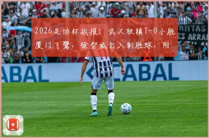 2026足协杯战报：武汉联镇1-0小胜厦门飞鹭，徐智诚打入制胜球，附本场关键数据与赛后分析